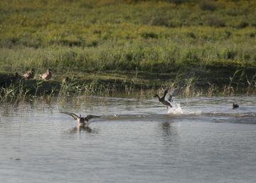 Aventura a la desembocadura