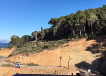 Tala de pins i alzines a la cala sa Riera de Begur per construir-hi 52 cases de luxe