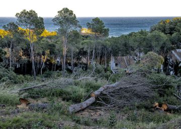 La Costa Brava repensa la línia de mar