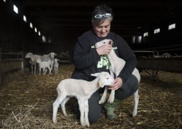 Serveis mínims a la granja pel 8-M