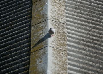 L’amiant s’estén per la coberta del mercat de l’Abaceria