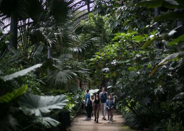La catedral de les plantes