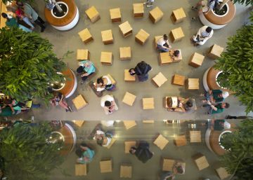 Reobre la botiga Apple del passeig de Gràcia després de quatre mesos
