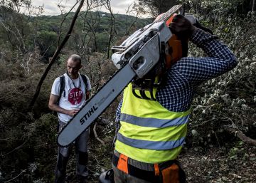 Les protestes al bosc, en fotos