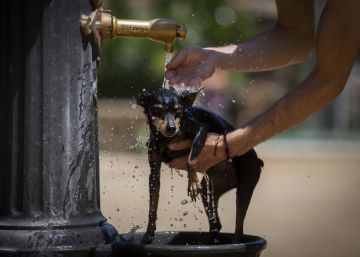 L’onada de calor ha deixat temperatures rècord a Catalunya