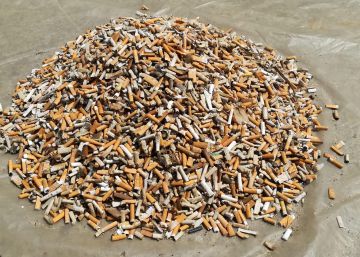 Barcelona es prepara per la lluita contra les burilles