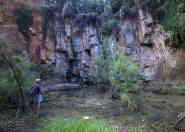 El Parlament crea l’Agència de la Natura amb un ampli consens