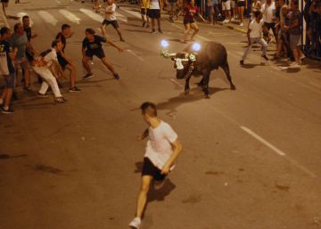 El Parlament demana al Govern que prohibeixi els correbous