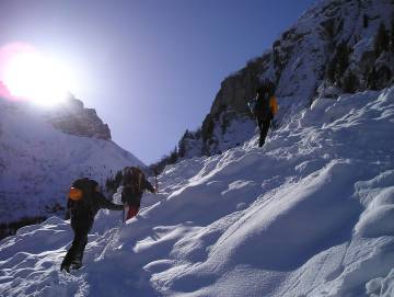 Cinc experiències per gaudir de la neu