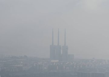 ‘Emergència climàtica’ i ‘animalista’, escollits neologismes del 2019