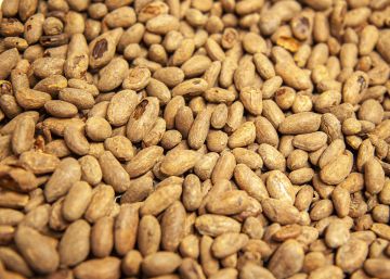 De la fava de cacau a la tauleta