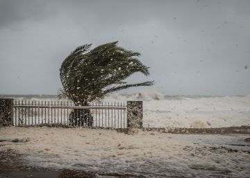 El temporal Glòria es menja el litoral català