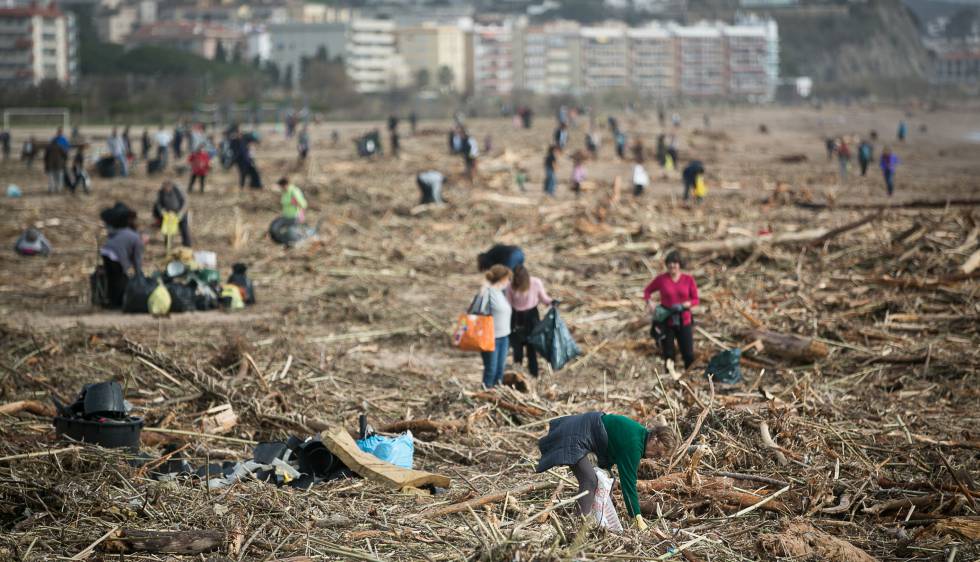 Centenars de voluntaris s’organitzen per netejar les platges malmeses pel temporal