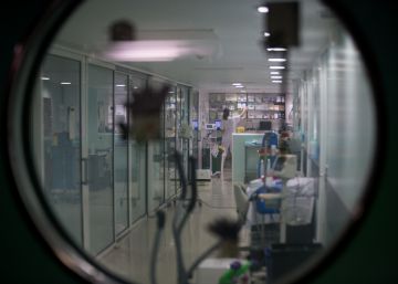 La crisi del coronavirus passa factura als trasplantaments