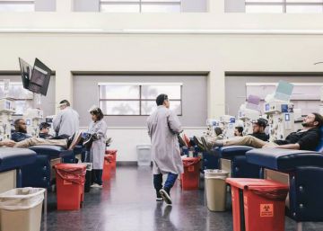 Els donants de sang que han superat la Covid-19, nova esperança contra la malaltia