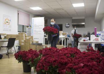 El repartiment de roses de Sant Jordi es bolca en el suport als hospitals