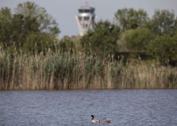 Una treva per al delta del Llobregat