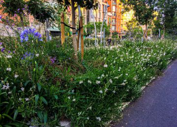 Les plantes ens parlen