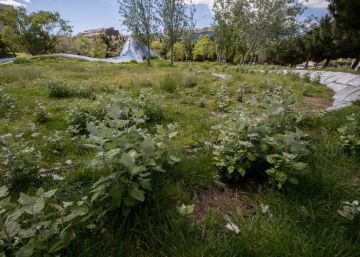Barcelona “naturalitza” els parcs de la ciutat