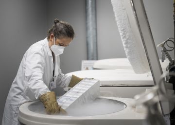 Els calaixos congelats que guarden l’empremta de la pandèmia