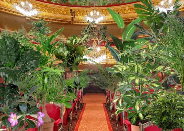 Les plantes envaeixen el Liceu en el seu primer concert desconfinat