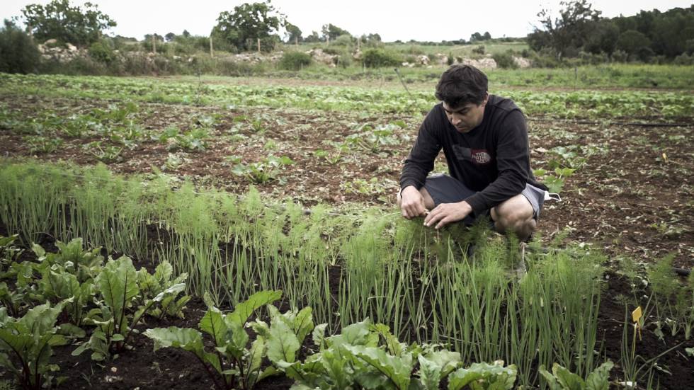 Aleix Dalmau, de l'empresa agrícola Can Garús, de Llers (Girona).