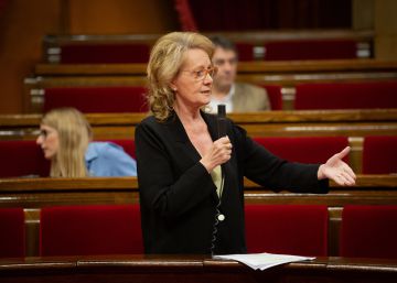 La consellera de Cultura diu que també es parla massa castellà al Parlament