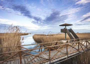 El delta de l’Ebre, horitzons desbordants de vida