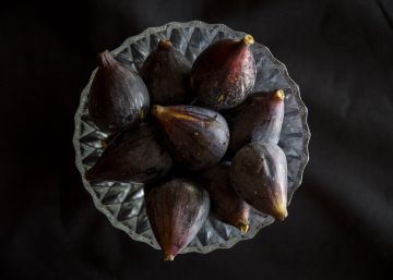 Figues i figueres, un rèquiem