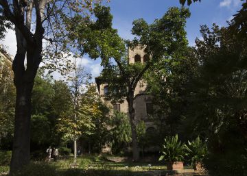 Els alvocats de Muñoz Ramonet