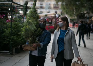 La venda d’avets es dispara: més alts i naturals