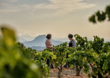La Terra Alta, terra de vi