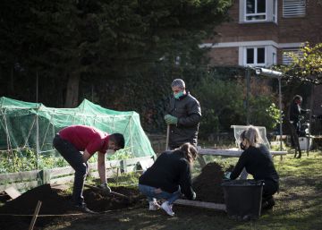 L’hort de Sarrià que cura les addiccions