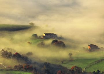 La puresa de l’exactitud