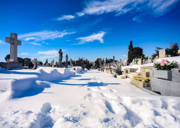 Les plomes blanques