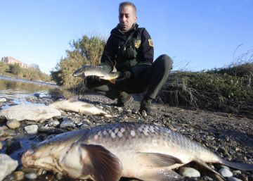 La Fiscalia acusa de delicte ambiental els directius de la química que va provocar la contaminació del riu Besòs