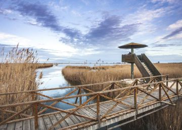 El delta de l’Ebre s’ofega en falses promeses