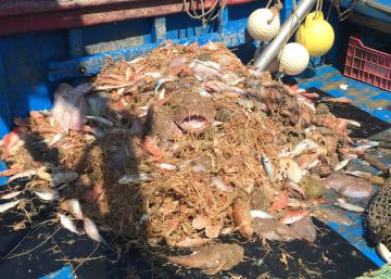 Vetllant per la “farmàcia del mar”