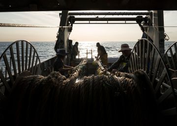 Confraries i científics demanen tancar a la pesca d’arrossegament una extensa franja del litoral
