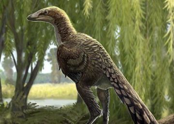 Identificat un nou dinosaure carnívor que va viure al Pirineu al final del cretaci