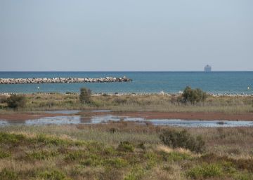 Mobilització al delta del Llobregat perquè s’acati l’expedient d’infracció europeu