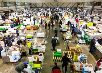 Mercabarna: dades i tecnologia per millorar l’eficiència energètica i evitar el malbaratament alimentari
