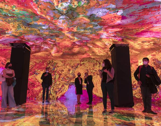 Més tecnologia i flors elèctriques comestibles per reobrir la Casa Batlló