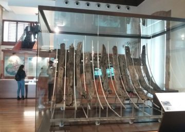 Un vaixell medieval tira l’àncora a la plaça del Rei