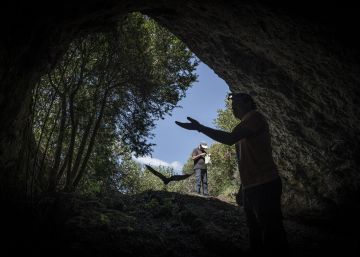 Prevenir la pròxima epidèmia amb els excrements d’un ratpenat