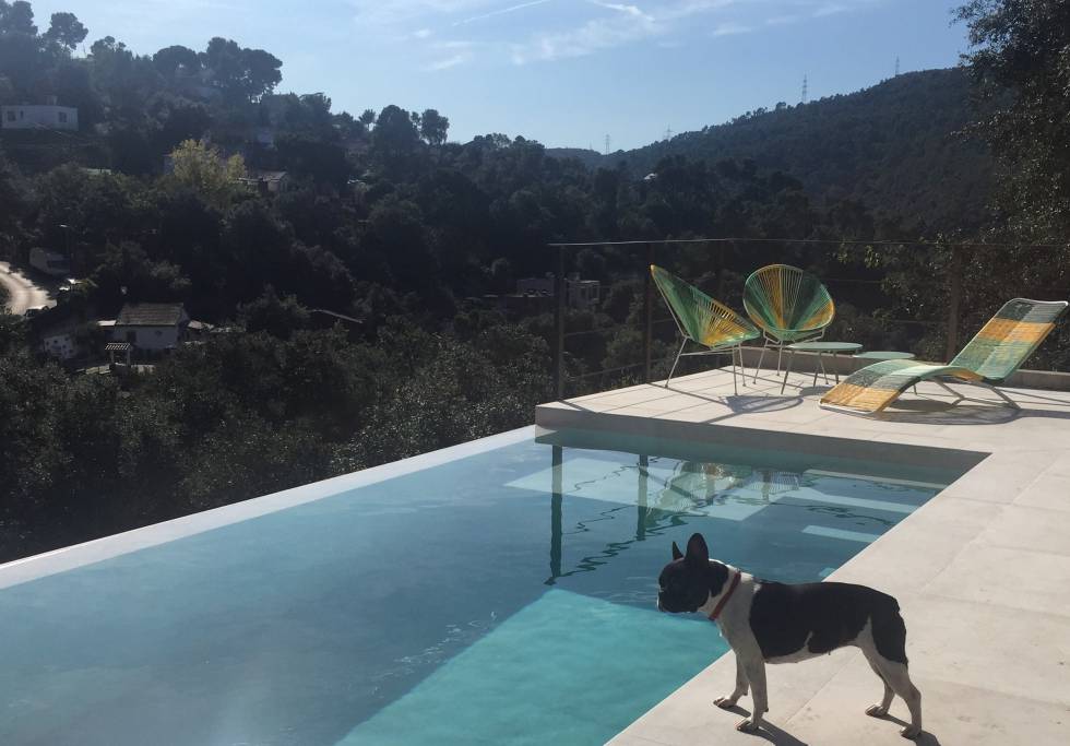Una piscina a Collserola