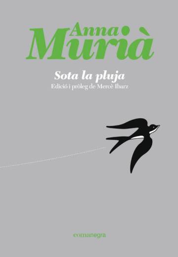 Memòria per imaginar, pensar i crear