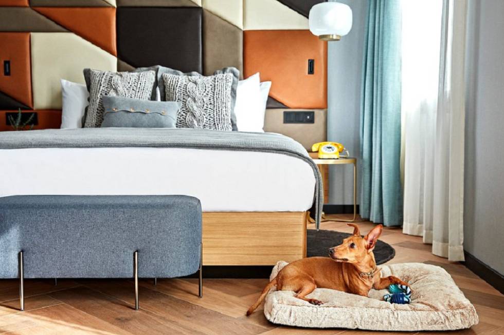 Cinc hotels per gaudir d’uns dies amb les vostres mascotes