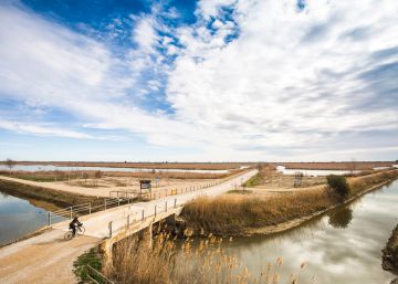 ‘Totes les narracions del Delta’, de Sebastià Juan Arbó: Un racó del món que és el món