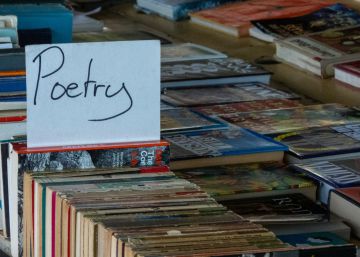 El lector de poesia